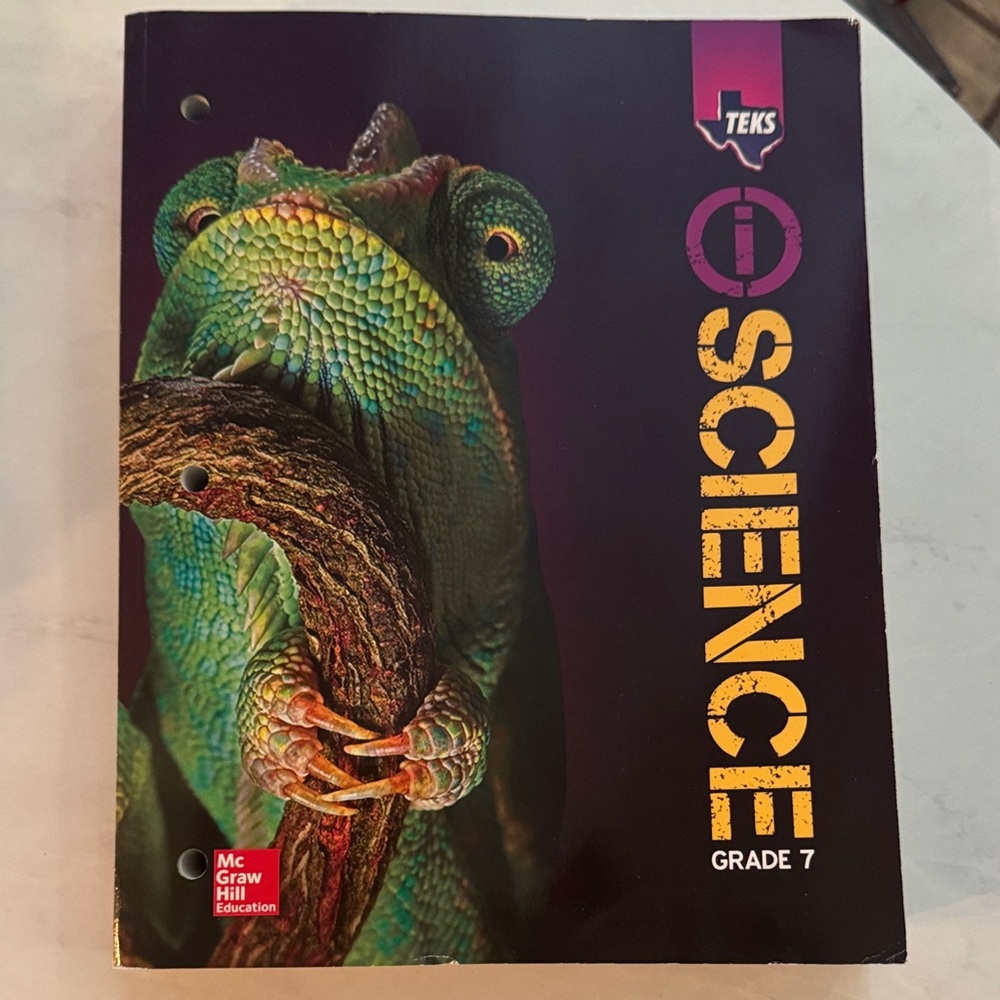 Colorful Chameleon Reptile Book - Picture 1 of 16